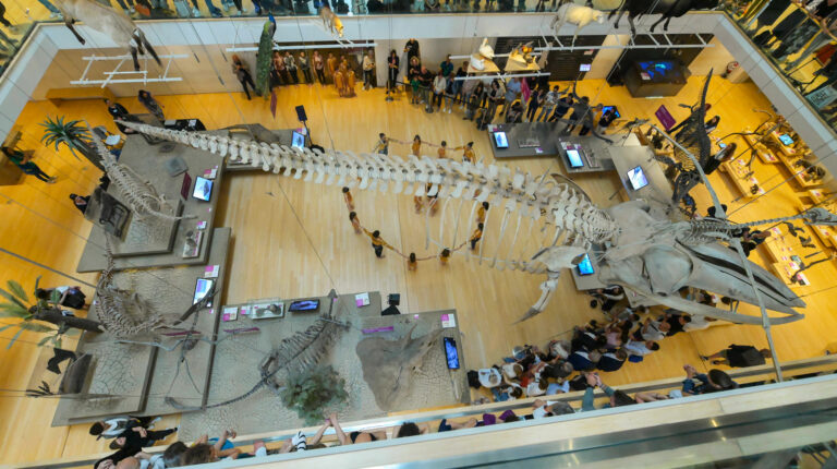 spettacolo di danza sulla meccanica quantistica al MUSE visto dall'alto. Credit: Daniele Panato