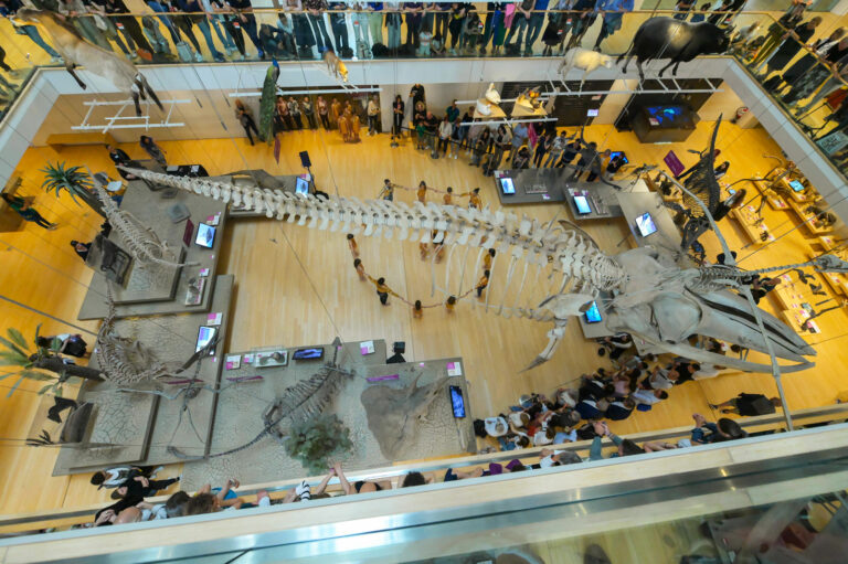 spettacolo di danza sulla meccanica quantistica al MUSE visto dall'alto. Credit: Daniele Panato