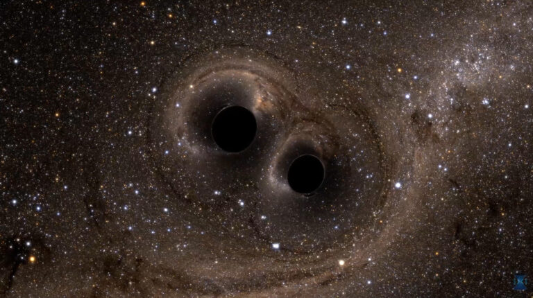 immagine di buchi neri Credit: Simulating eXtreme Spacetimes