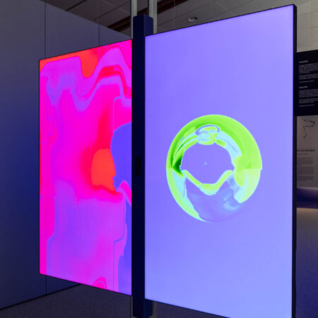 Installazione sul dualismo onda particella. Due schermi mostrano l'immagine del visitatore o della visitatrice in forma di onda o di particella. Foto di Matteo de Stefano.